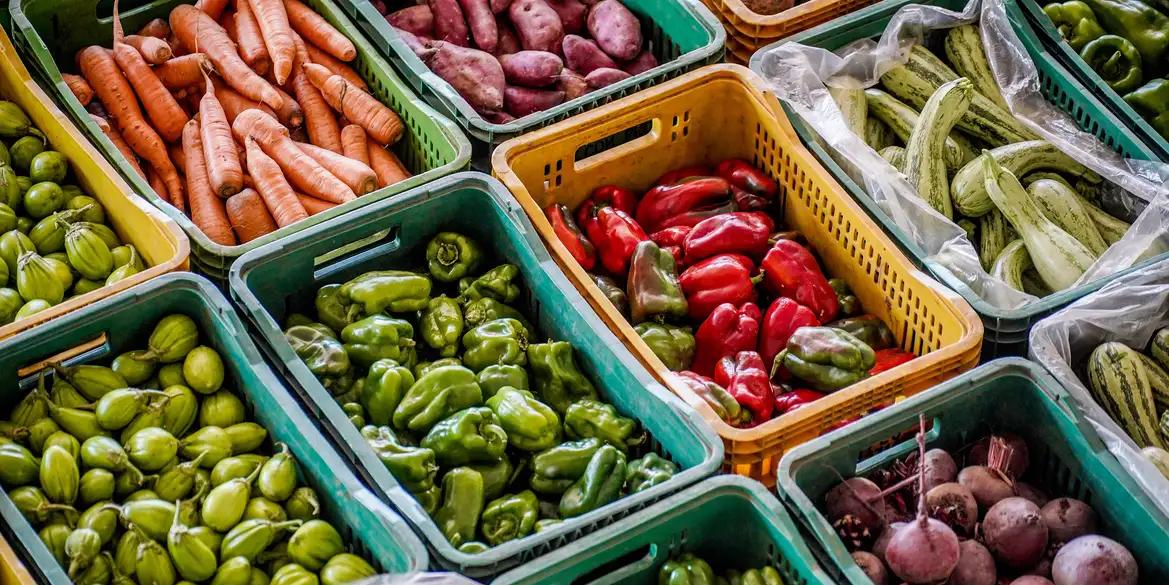 Na última terça-feira (5), o presidente Luiz Inácio Lula da Silva assinou decreto que prevê uma cesta básica com mais alimentos in natura e regionais e menos processados. (Rafa Neddermeyer/Agência Brasil)