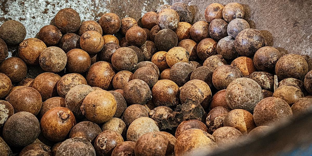 Pró-reitora destaca a versatilidade do fruto regional, o coco de macaúba (Diego Vargas/Seapa)