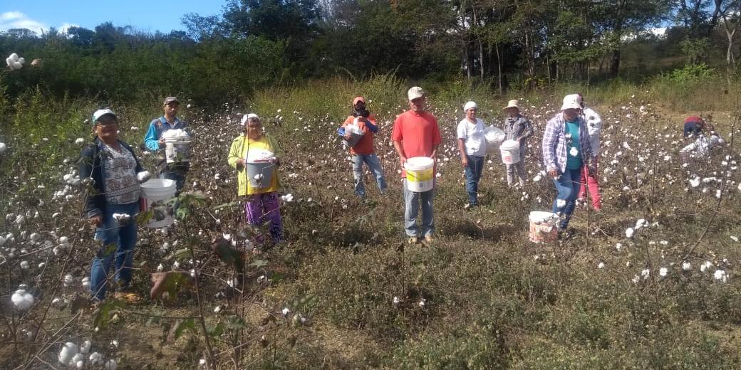  (Sindicato dos Trabalhadores Rurais de Montes Claros)