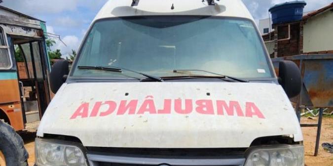 Ao todo, estão disponíveis para o leilão 29 ambulâncias das marcas Mercedes Benz, Fiat e Renault (DIVULGAÇÃO)