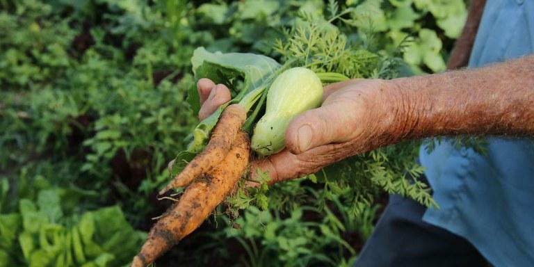 Conforme o edital do processo, serão contemplados agricultores de 14 municípios da região (AGÊNCIA BRASIL)