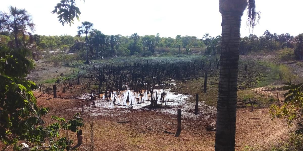 O período de seca pode prejudicar a saúde da população devido à piora na qualidade do ar, além de afetar a produção agrícola (RODRIGO CARDOSO/ DEFESA CIVIL)