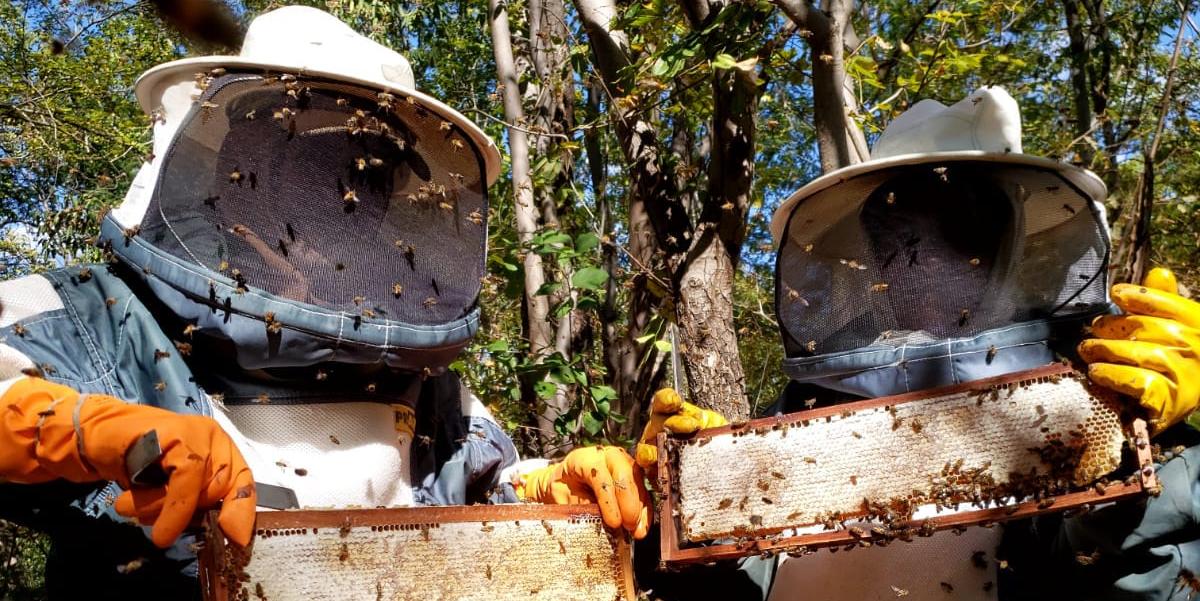 Para Maria Aparecida, trabalhadora rural e apicultora, o trabalho com abelhas proporciona uma boa fonte de renda (Maria Aparecida da Silva Aguiar)