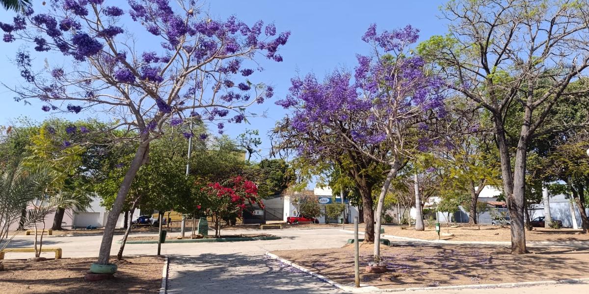 Clima seco deve prevalecer até meados de novembro, relata prognóstico meteorológico (LEONARDO QUEIROZ)