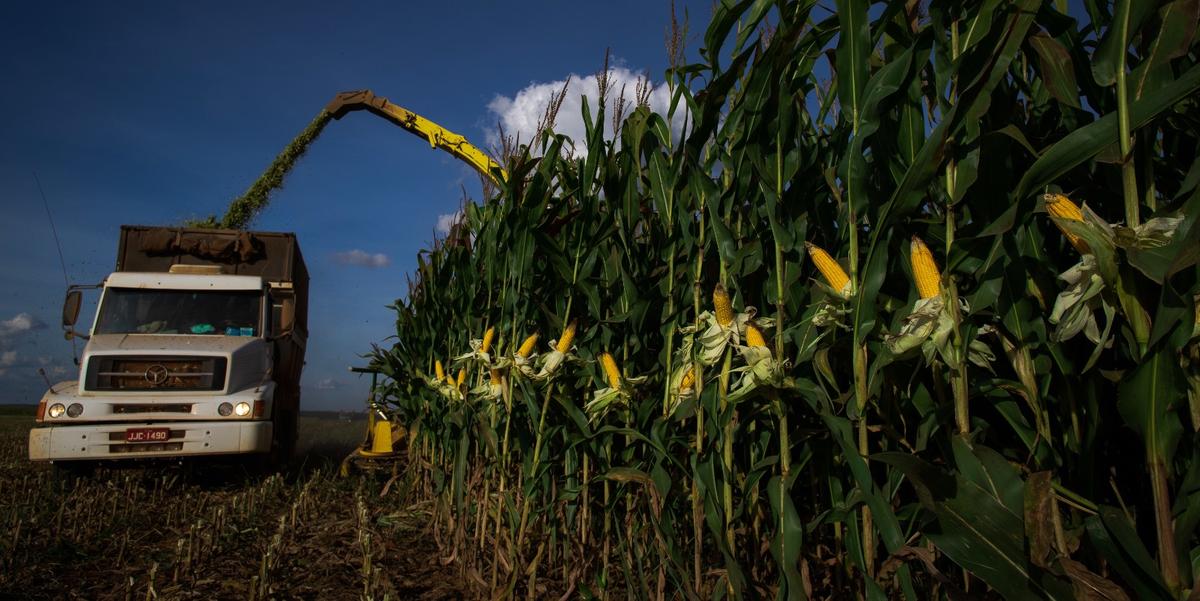 Nicolas Justo, líder do NEProTeC, destaca que o objetivo do evento é influenciar positivamente agricultores e empresas locais, promovendo inovação e práticas sustentáveis (CNA BRASIL)