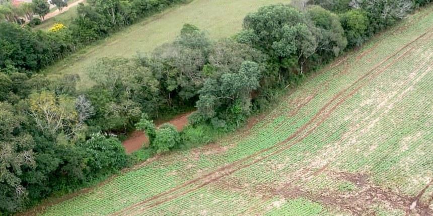 Texto garante mesmo tratamento no Imposto de Renda às ações de preservação e à produção agrícola (IAT/PR)