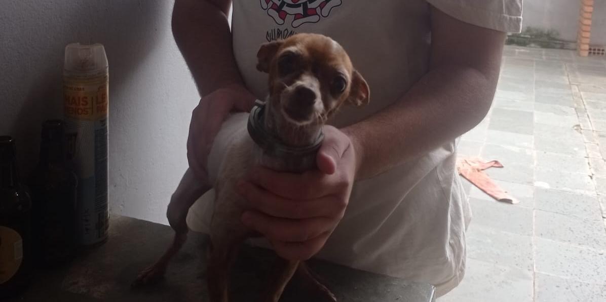 Victor Hugo Mota Pires, estudante de veterinária, acredita que a iniciativa tende a diminuir o abandono de animais (arquivo pessoal)