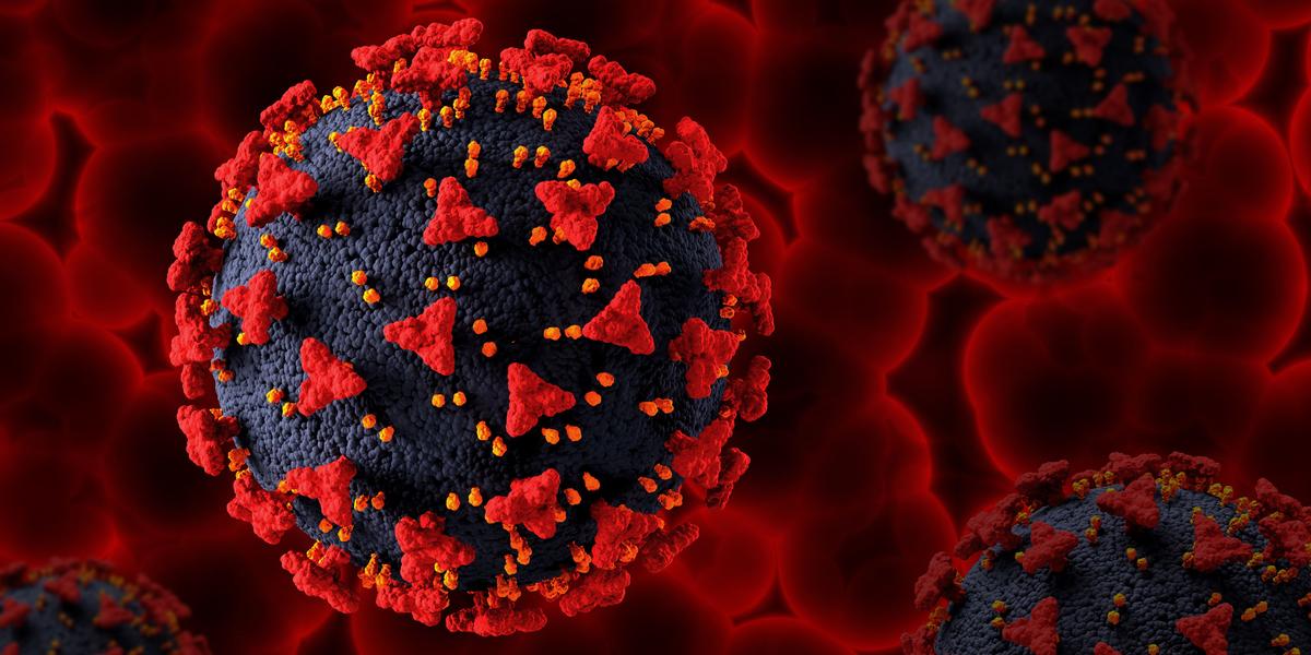 Amostras de sangue de 88 pessoas hospitalizadas no Instituto Nacional de Infectologia Evandro Chagas (INI/Fiocruz) foram analisadas na pesquisa (Freepik)