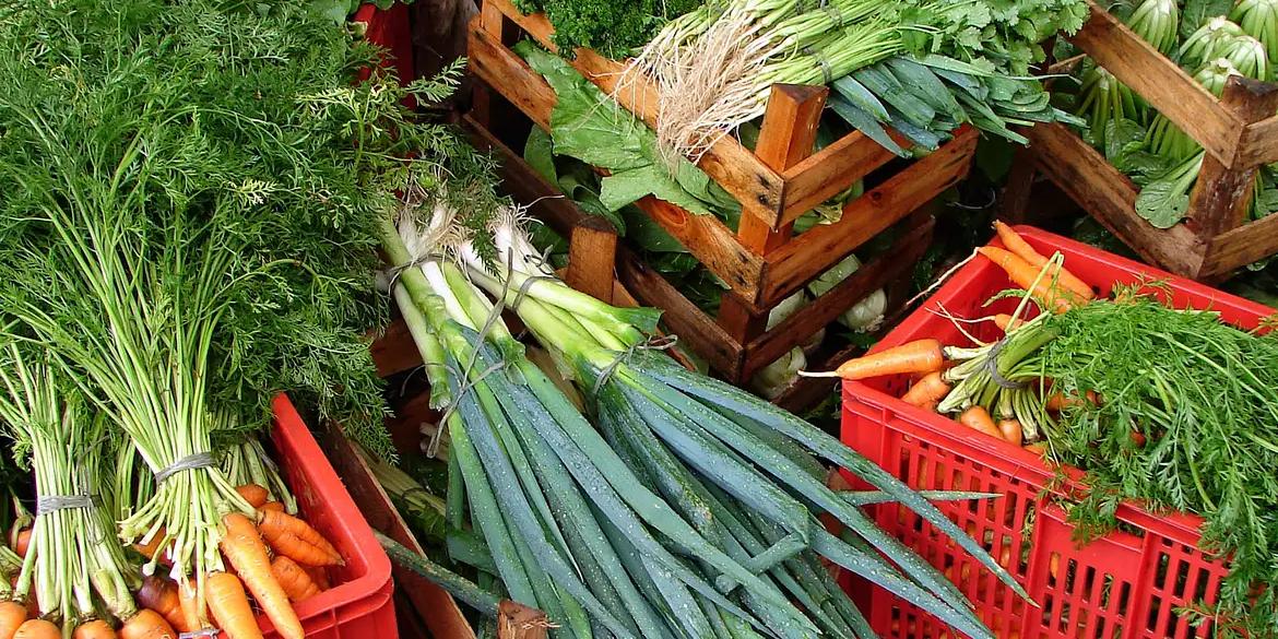 Renda de 70% da população é insuficiente para ter alimentação saudável (Empraba)