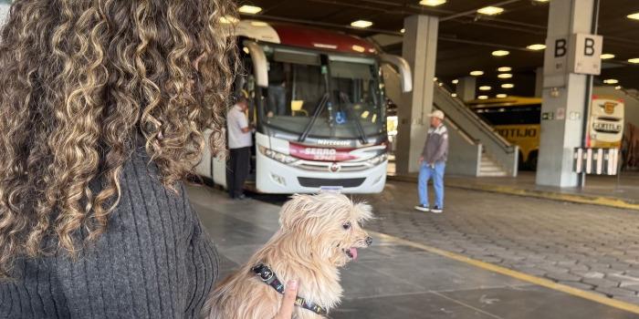 É necessária a compra de passagem para o pet, que deve estar vermifugado e com vacinas em dia (Seinfra)