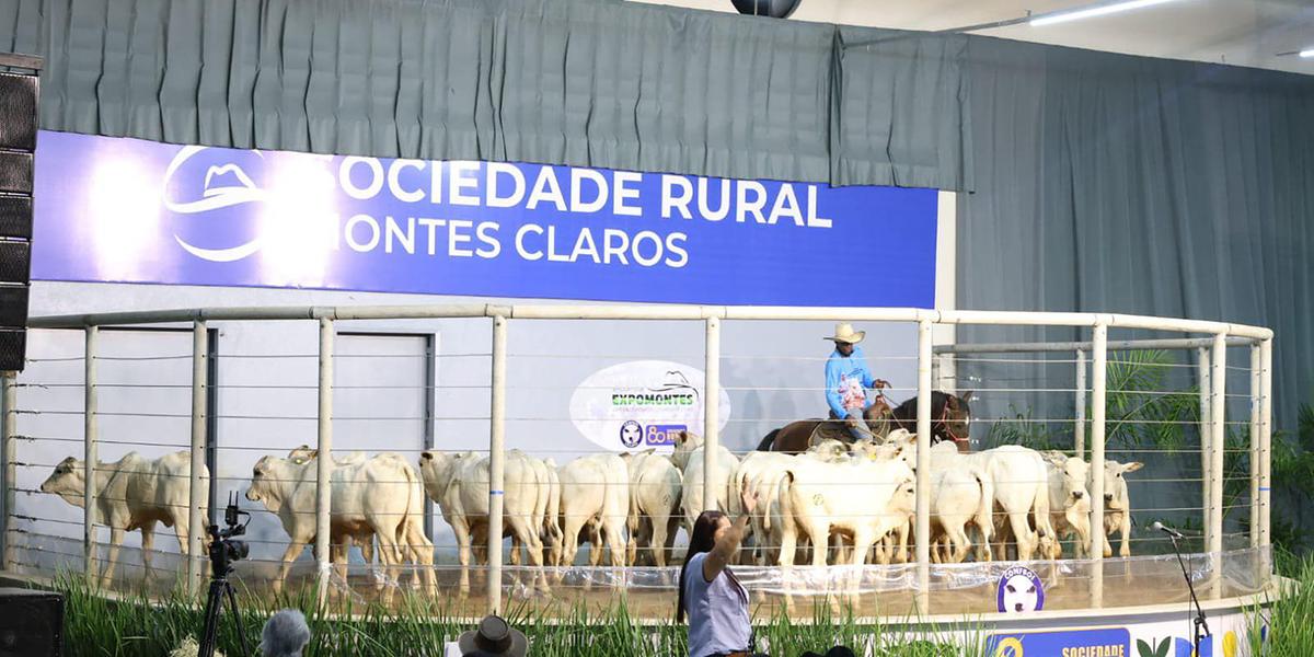A previsão de movimentar R$ 400 milhões em negócios é puxada, principalmente, pelo setor pecuário através dos leilões (Divulgação)