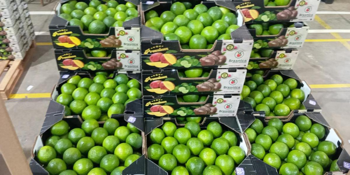 Dirceu Colares, presidente da Abanorte, considera o evento crucial para expandir a fruticultura regional (Dailton Ferreira - Brasnica)