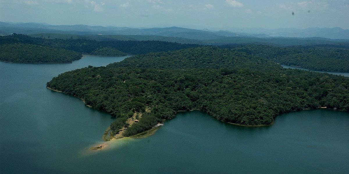 São mais de 5 milhões de mudas, consolidando o protagonismo do estado na agenda ambiental nacional (Evandro Rodney / IEF)