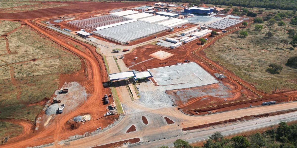 Complexo de 138 hectares em Montes Claros produzirá 10,5 milhões de mudas anuais (Acelen Renováveis)