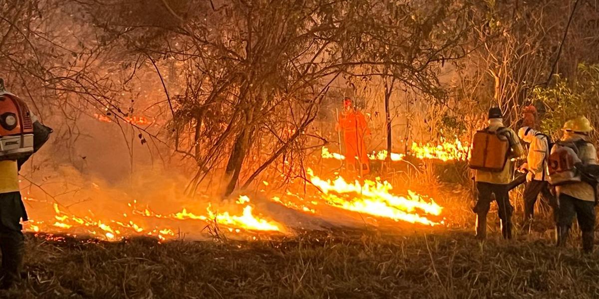 No total, 23 pessoas, incluindo bombeiros, brigadistas e funcionários do Parque, foram empenhadas para a ocorrência (corpo de bombeiros/ divulgação)