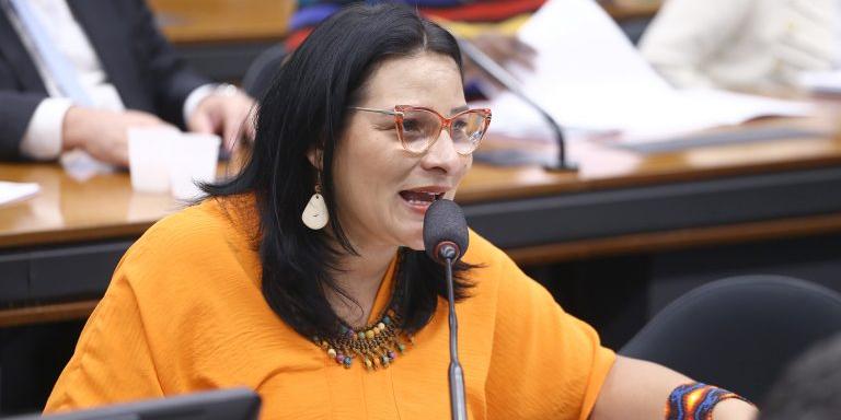 Deputada Juliana Cardoso, autora do projeto de lei (Vinicius Loures / Câmara dos Deputados)