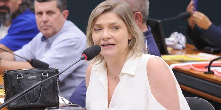 Professora Luciene Cavalcante, relatora da proposta (Renato Araújo/Câmara dos Deputados)