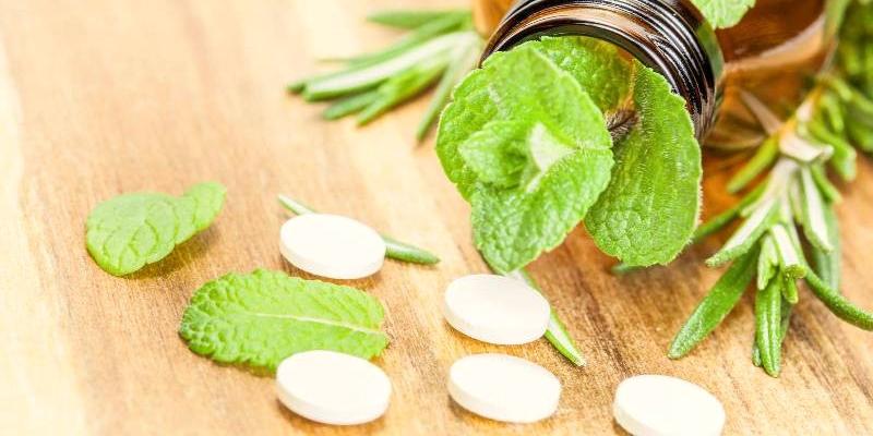 Norte de Minas: Incentivo a medicamentos fitoterápicos e qualificação da assistência farmacêutica recebem investimentos (SES-MG)