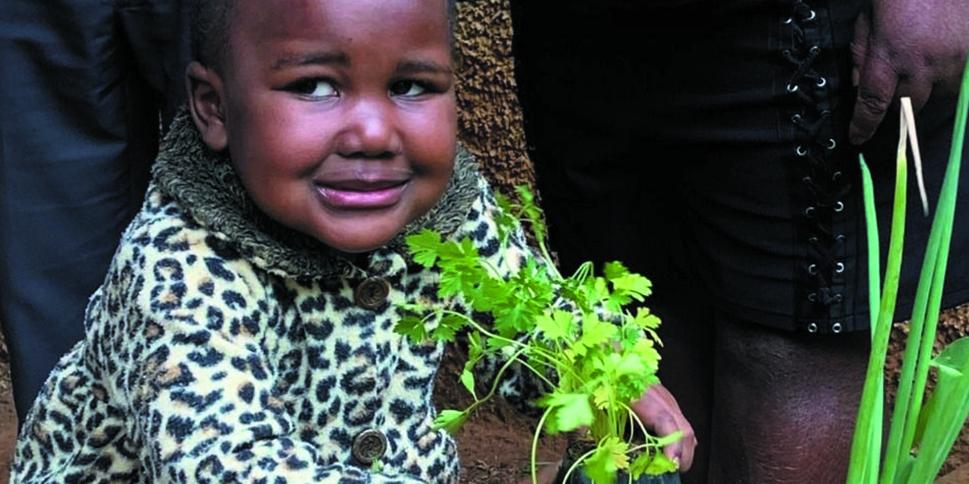 O impacto dessas doações reflete em histórias como a da pequena Jessiara Emanuelly, diagnosticada com leucemia linfoide aguda aos três anos (Fundação sara/ divulgação)
