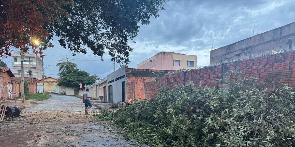 Corpo de bombeiros atendeu a dez ocorrências de queda de árvore em virtude da chuva, em um único dia (Ascom CB)