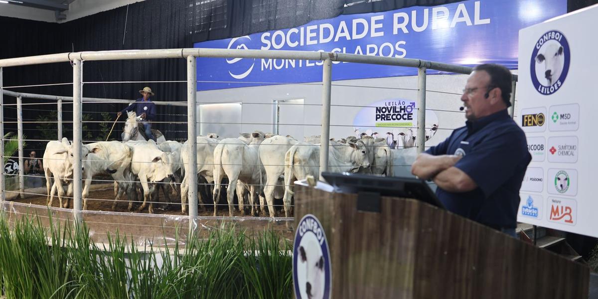 Leilão Premium encerra calendário Agropecuário (Solon Queiroz)