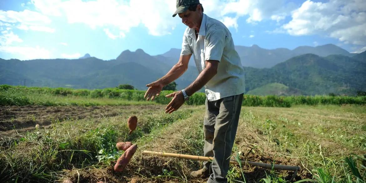 Conselho Monetário Nacional (CMN) reajustou os preços mínimos para agricultura familiar (Agência Brasil)