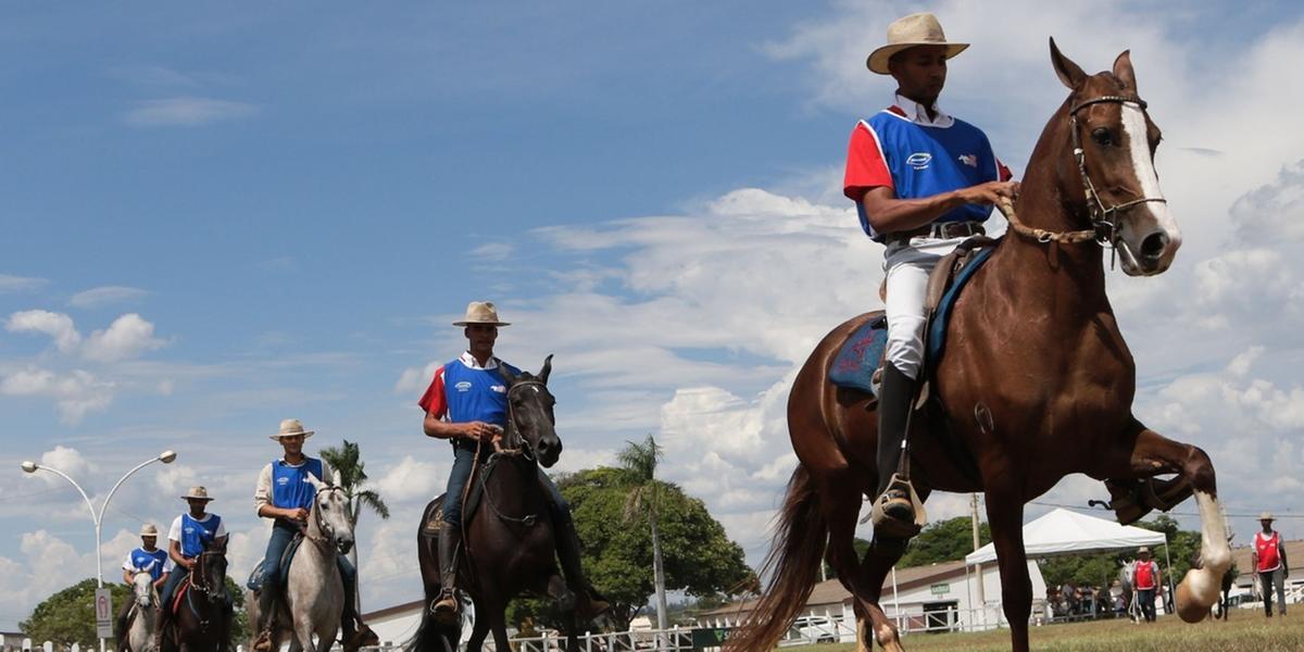 Com a abertura do calendário 2026, o Núcleo do Cavalo Mangalarga Marchador do Norte de Minas reafirma seu compromisso com o fortalecimento da equinocultura regional, apostando na organização, na qualidade técnica dos eventos e na união dos criadores como pilares para o crescimento sustentável da raça na região (NCMMNM/ divulgação)