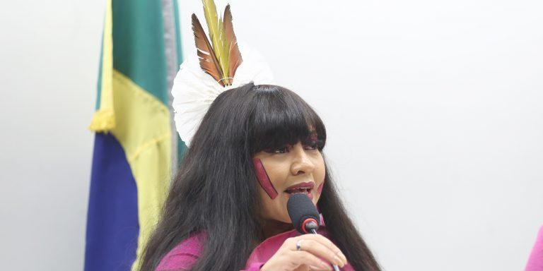 Célia Xakriabá, relatora da proposta na comissão (Vinicius Loures / Câmara dos Deputados)