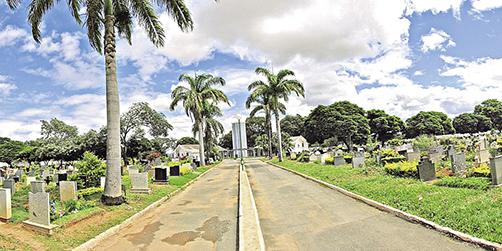 (MANOEL FREITAS)