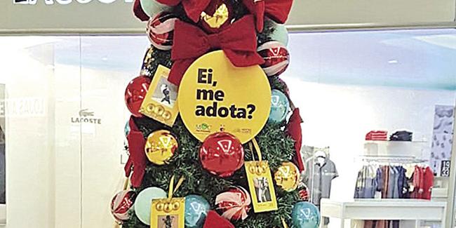 (DIVULGAÇÃO)