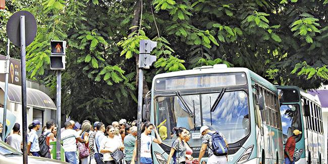 (MANOEL FREITAS)