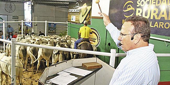 (SOLON QUEIROZ/DIVULGAÇÃO)
