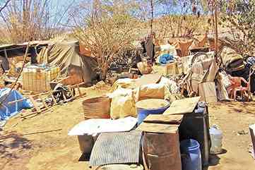 CONDIÇÕES SUB-HUMANAS – Dezenas de famílias ainda vivem na área do lixão de MOC, sobrevivendo como catadores de recicláveis