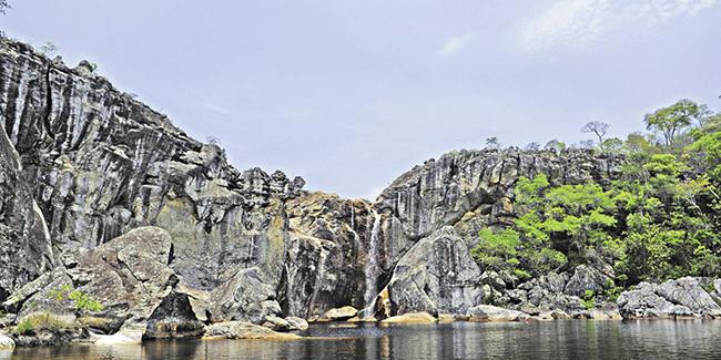 (IEF/DIVULGAÇÃO)