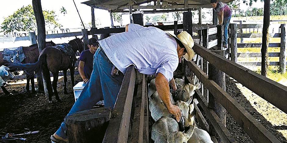  (Adepará/Divulgação)