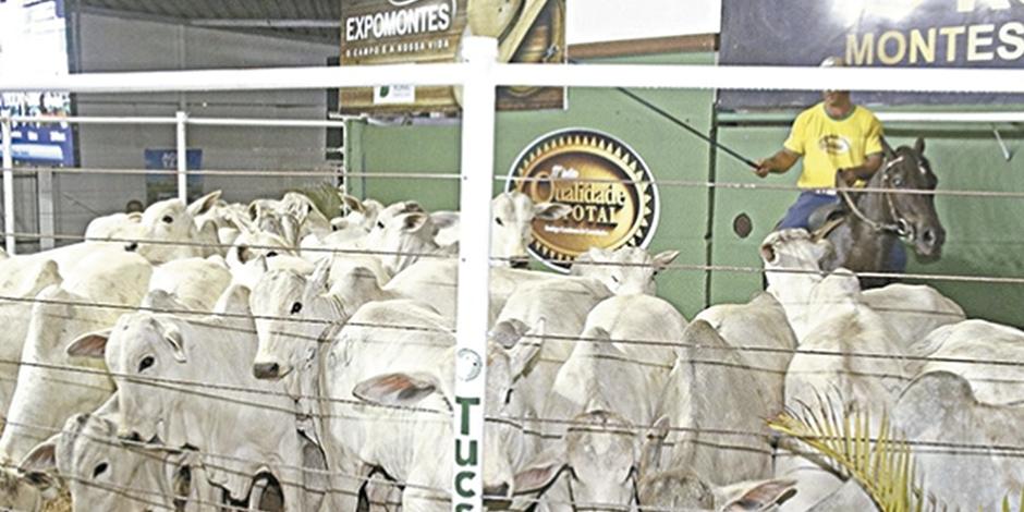 (Divulgação/Sociedade Rural)