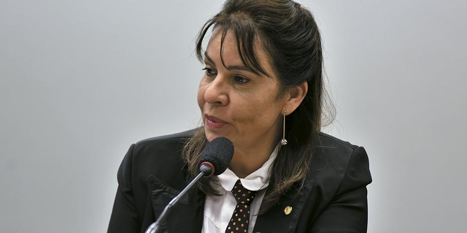  (Zeca Ribeiro/CÂmara dos Deputados/divulgação)