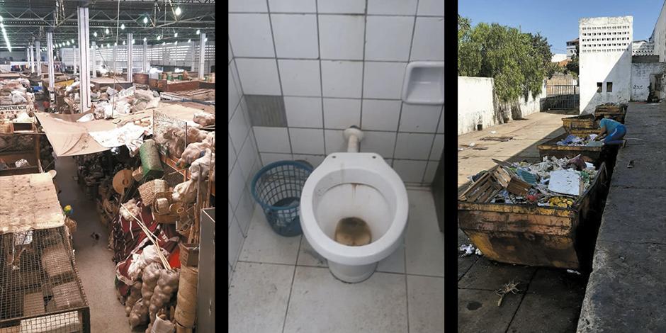 (Fotos Divulgação)