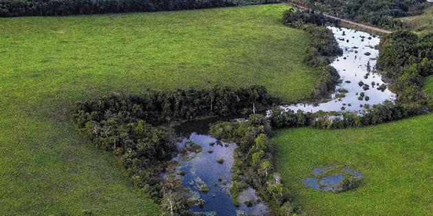  (Marizilda Cruppe\Divulgação)