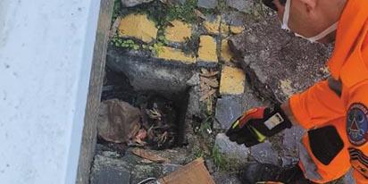 (FOTOS CBMG/DIVULGAÇÃO)