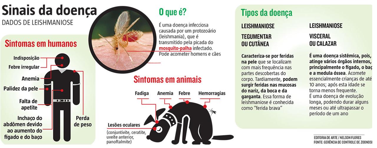 Apeirofobia: sintomas, causas e tratamentos 