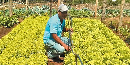 (Emater-MG/Divulgação)