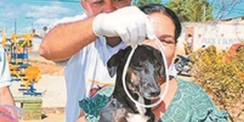(fábio marçal/divulgação)