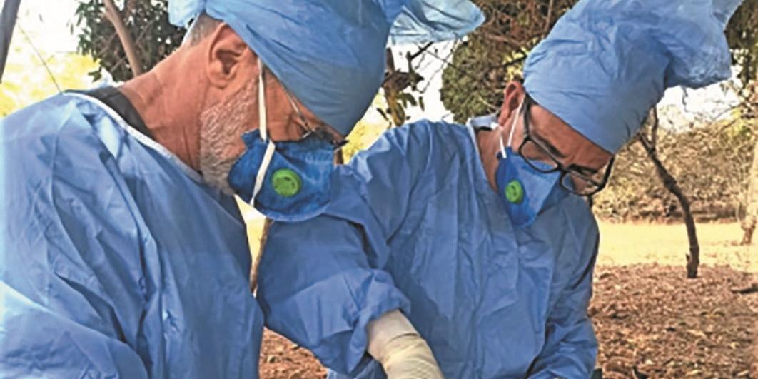  (ses-mg/divulgação)