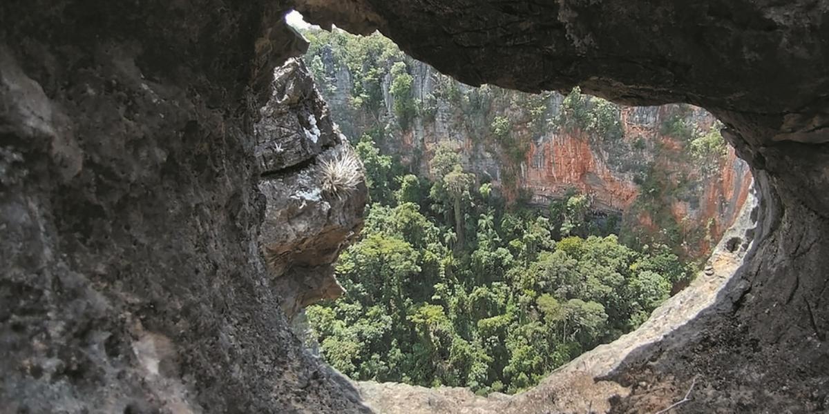 (fotos manoel freitas)