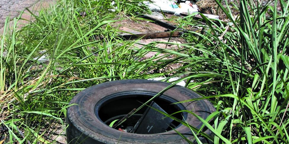 PERIGO – Água parada é criadouro do mosquito da dengue, doença que atingiu ao menos 577 mineiros este ano (MAURICIO VIEIRA)