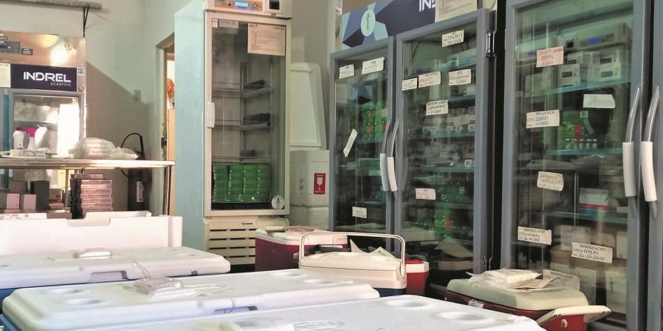 A Regional de Saúde de Montes Claros, que engloba 54 municípios, recebeu 32.665 doses de vacinas contra a Covid-19 nesta semana (pedro ricardo/srs/divulgação)