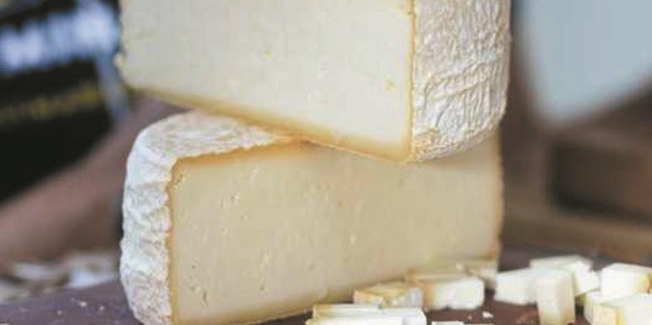 O queijo de Minas já tem fama internacional, mas produtores precisam estar regularizados e com a produção seguindo normas sanitárias para conquistar novos mercados (dirceu aurélio/imprensa mg)