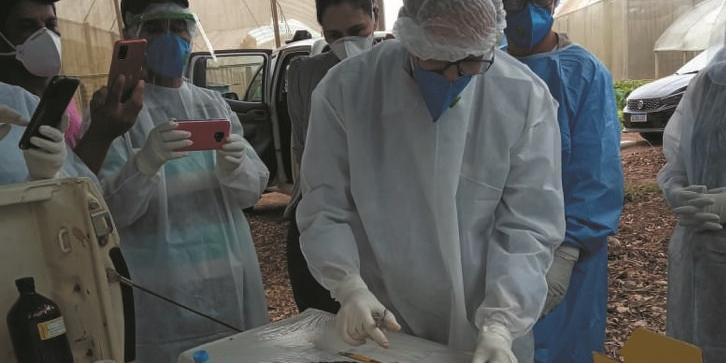 Técnicos municipais terão condições de realizar ações como coleta de vísceras dos animais, armazenamento e transporte do material para ser examinado (Bartolomeu Teixeira/srs/divulgação)