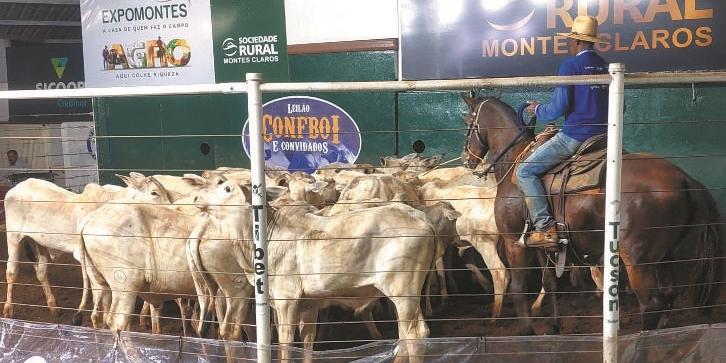 Público lotou o Parque de Exposições para ver a feira da agricultura familiar, provas com animais nobres e os shows com nomes nacionais da música. (divulgação)